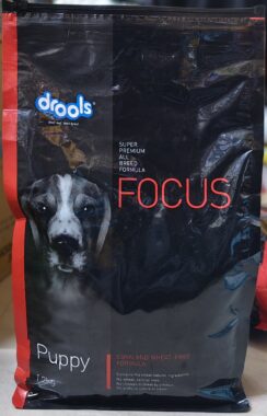 Drools focus puppy 1.2kg