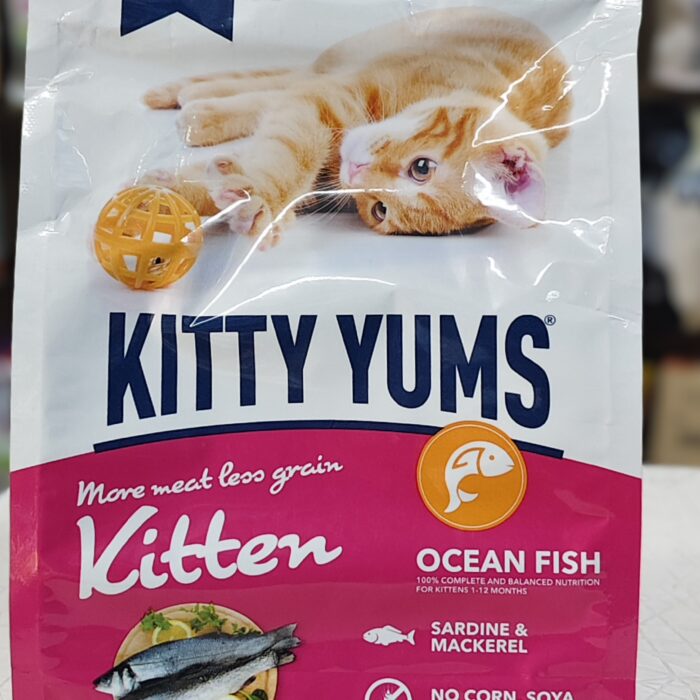 kitty-yums-wetfood-400g-frontside kitty-yums-wetfood-400g-frontside